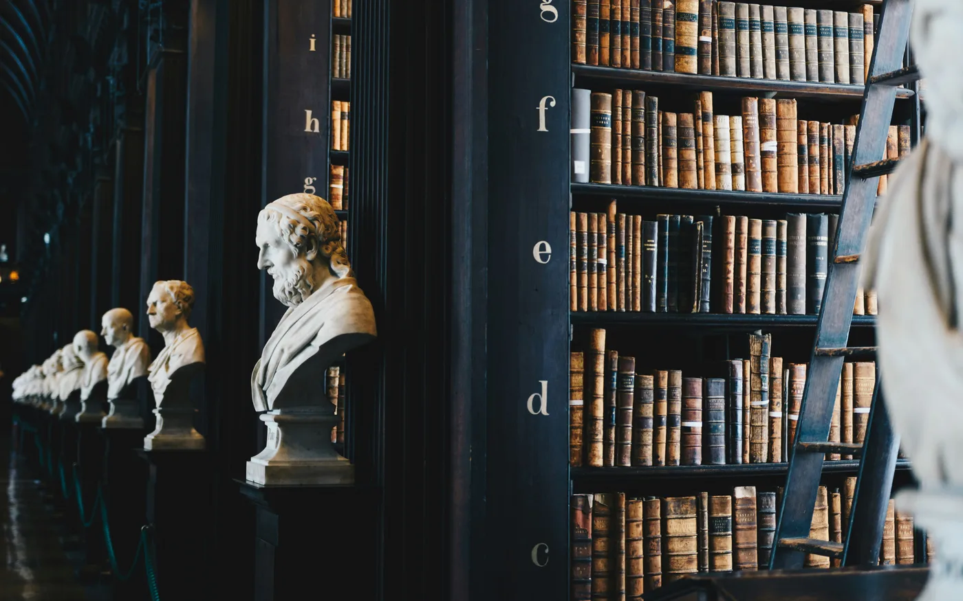 Acervo de livros em biblioteca